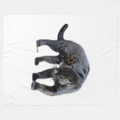 Jaguar Diablo Fleece Decke (Vorderseite (Horizontal))