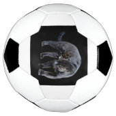 Jaguar Diablo Fußball (Gedreht)