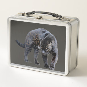Jaguar Diablo graue Lunchbox
