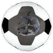 Jaguar Diablo Grauer Fußballball Fußball (Gedreht)