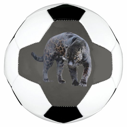 Jaguar Diablo Grauer Fußballball Fußball (Vorderseite)