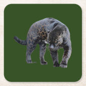 Jaguar Diablo grüne Untersetzer (Vorderseite)