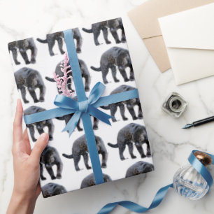Jaguar Diablo Hochglanzpapier Geschenkpapier