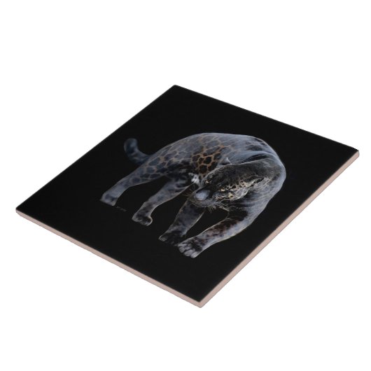 Jaguar Diablo Keramik Fliese (Seite)