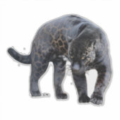 Jaguar Diablo Kontur Aufkleber (Vorderseite)