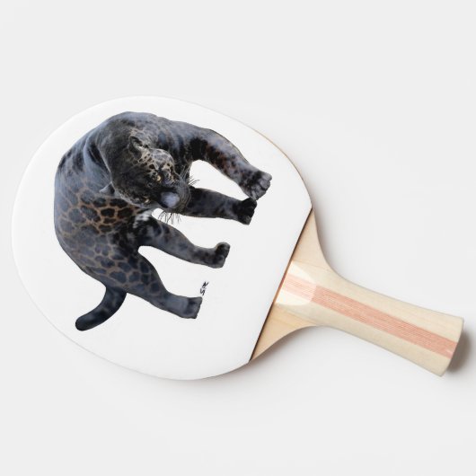 Jaguar Diablo Pingpongpaddel Tischtennis Schläger (Seitenansicht)