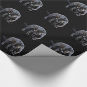 Jaguar Diablo schwarz glänzendes Packpapier (Ecke)