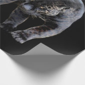 Jaguar Diablo, schwarz mattes Packpapier (Ecke)