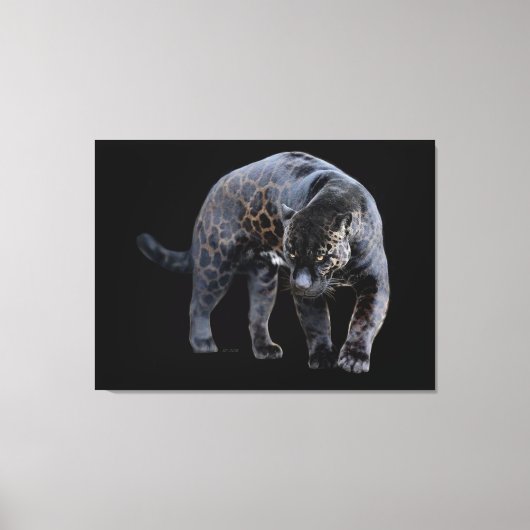 Jaguar Diablo, schwarze Leinwand (Vorderseite)