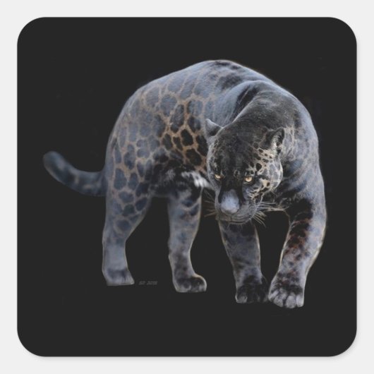 Jaguar Diablo schwarze Quaddelsticker Quadratischer Aufkleber (Vorderseite)