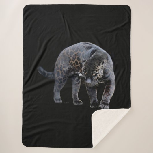 Jaguar Diablo schwarze Sherpa-Decke Sherpadecke (Vorderseite)