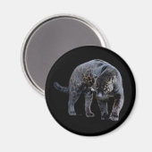 Jaguar Diablo schwarzer Magnet (Vorderseite/Rückseite)