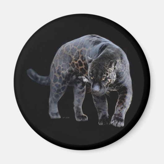 Jaguar Diablo schwarzer Magnet (Vorne)