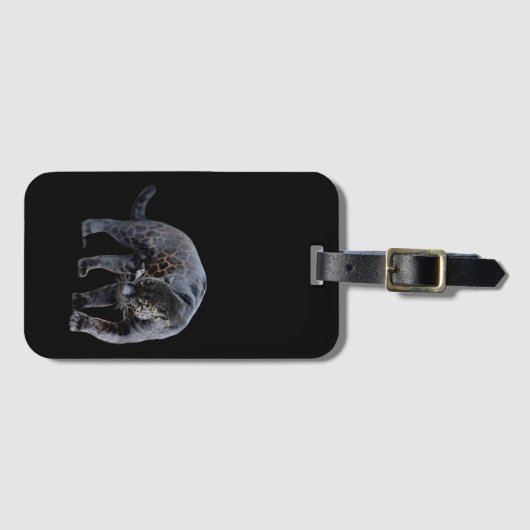 Jaguar Diablo, schwarzes Gepäck Gepäckanhänger (Vorderseite (Horizontal))