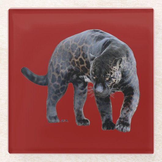 Jaguar Diablo Untersetzer (Vorderseite)