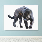 Jaguar Diablo weiße Leinwanddruck (Insitu (Holzboden))