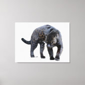 Jaguar Diablo weiße Leinwanddruck (Vorderseite)