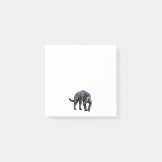 Jaguar Diablo weiße Notizblöcke Post-it Klebezettel (Vorderseite)