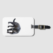 Jaguar Diablo, weißes Gepäck Gepäckanhänger (Vorderseite (Horizontal))