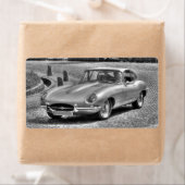 Jaguar E-Type (Insitu)