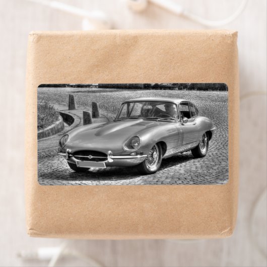 Jaguar E-Type (Insitu)