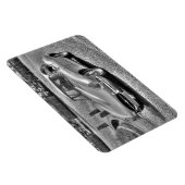 Jaguar E-Type Magnet (Rechte Seite)