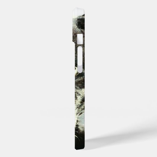 Jaguar Eyes Case-Mate iPhone Hülle (Rückseite / Links)