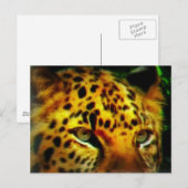 Jaguar Eyes Postkarte (Vorne/Hinten)
