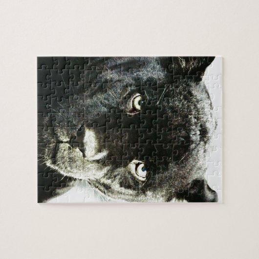 Jaguar Eyes Puzzle (Horizontal)