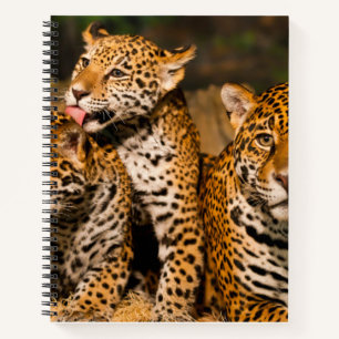 Jaguar Familie Spiral Notebook Notizblock