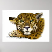 Jaguar-farbig Poster (Vorne)