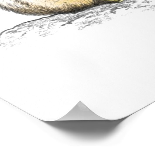 Jaguar-farbig Poster (Ecke)