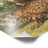Jaguar (Felis onca) Illustration Fotodruck (Ecke)