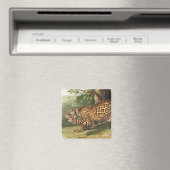 Jaguar (Felis onca) Illustration Magnet (In Situ (Geschirrspüler))