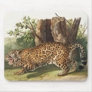Jaguar (Felis onca) Illustration Mousepad