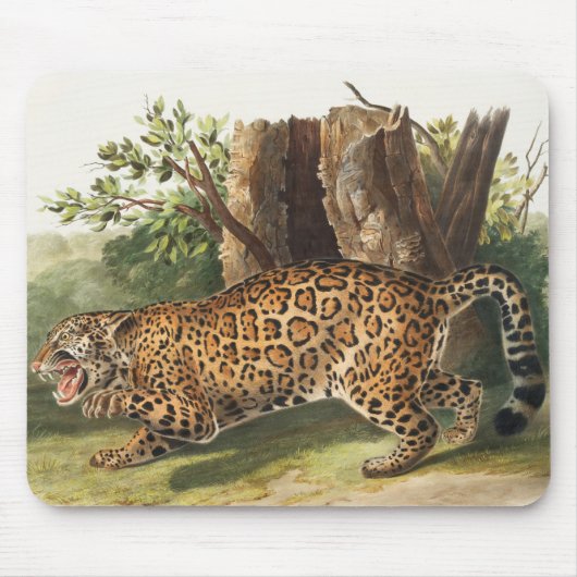 Jaguar (Felis onca) Illustration Mousepad (Vorne)