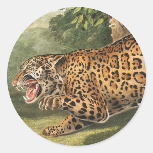 Jaguar (Felis onca) Illustration Runder Aufkleber (Vorderseite)