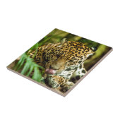 Jaguar Fliese (Seite)