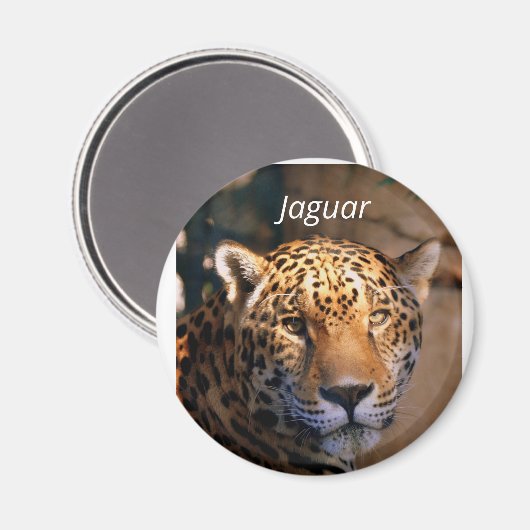 Jaguar-Foto-Magnet Magnet (Vorderseite/Rückseite)