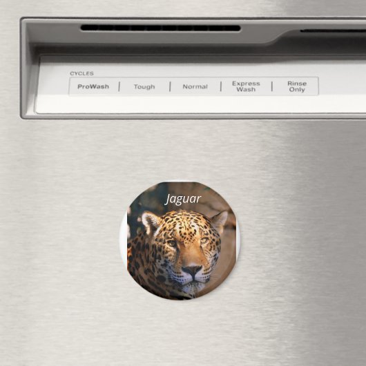 Jaguar-Foto-Magnet Magnet (In Situ (Geschirrspüler))