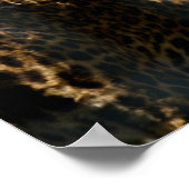 Jaguar Foto Print Poster (Ecke)