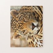 Jaguar Foto Puzzle (Vertikal)
