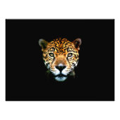 Jaguar Fotodruck (Vorne)