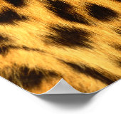 Jaguar Fur Poster (Ecke)