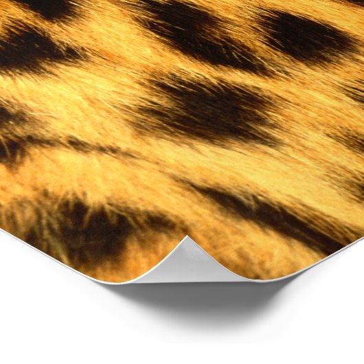 Jaguar Fur Poster (Ecke)