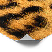 Jaguar Fur Poster (Ecke)