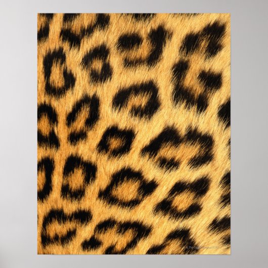 Jaguar Fur Poster (Vorne)