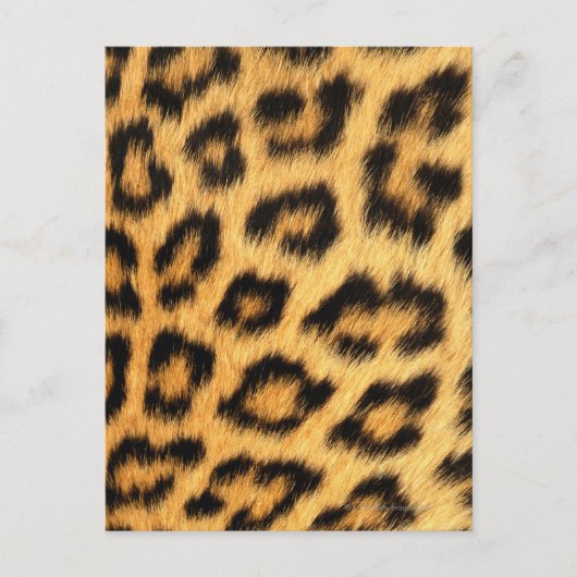 Jaguar Fur Postkarte (Vorderseite)