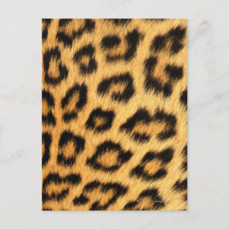 Jaguar Fur Postkarte