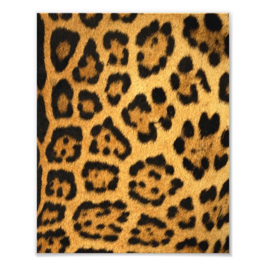Jaguar Fur Print Fotodruck (Vorne)
